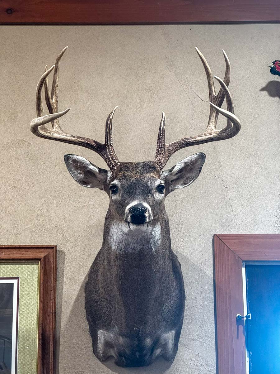 Bobcat Ridge Ranch property picture 40 of 99