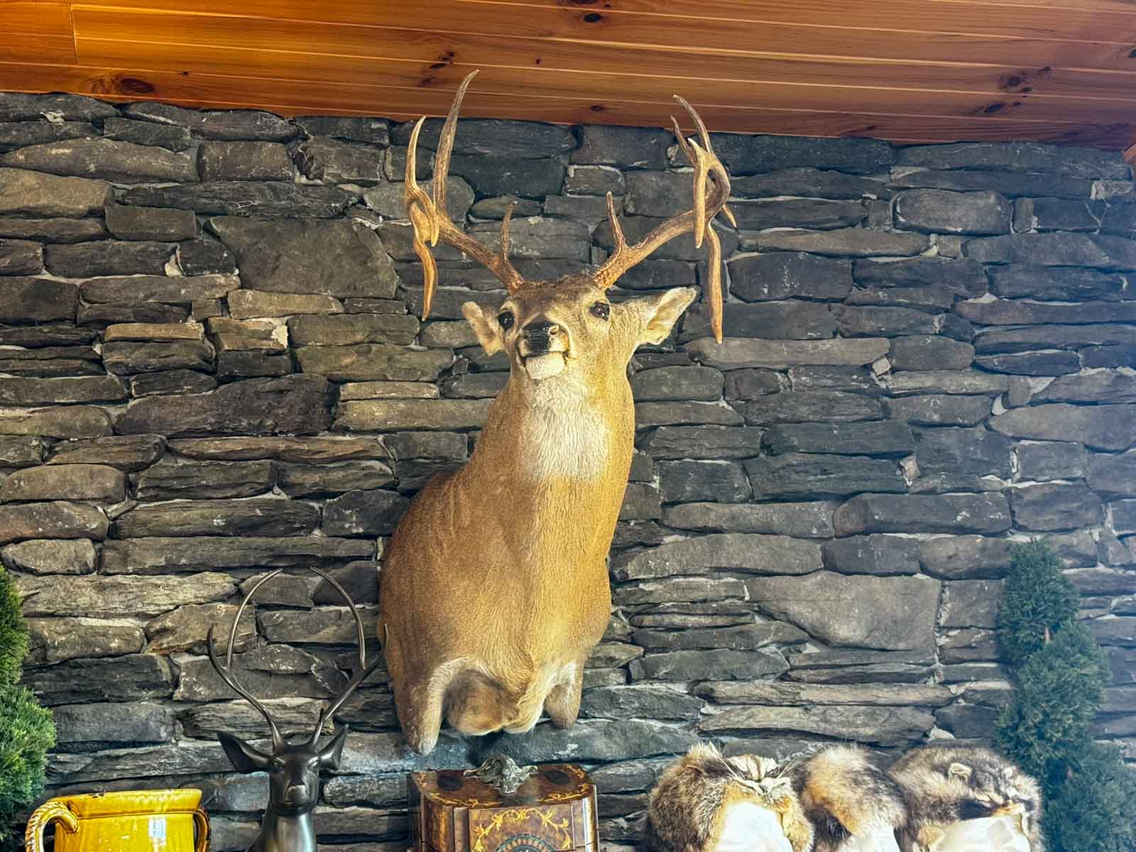 Bobcat Ridge Ranch property picture 39 of 99