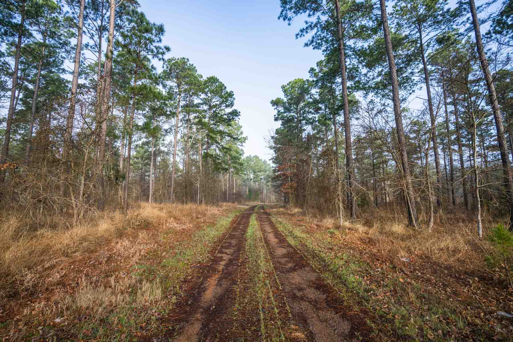 Bobcat Ridge Ranch property picture 48 of 99