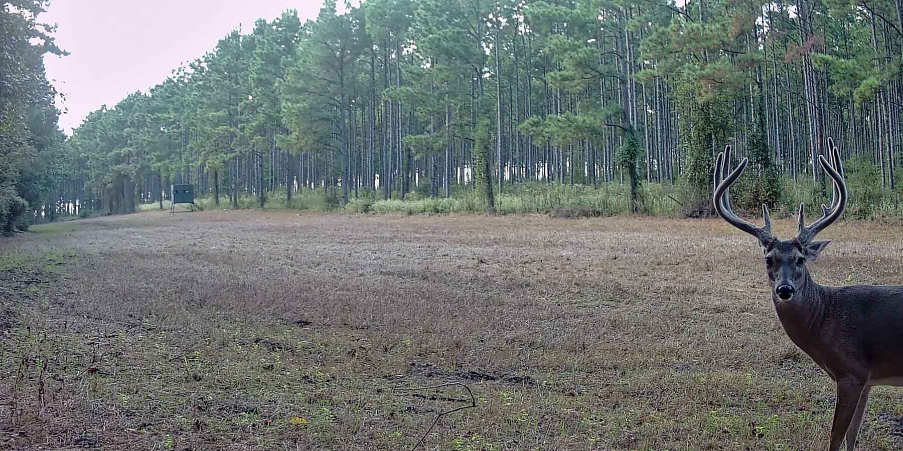 Bobcat Ridge Ranch property picture 88 of 99
