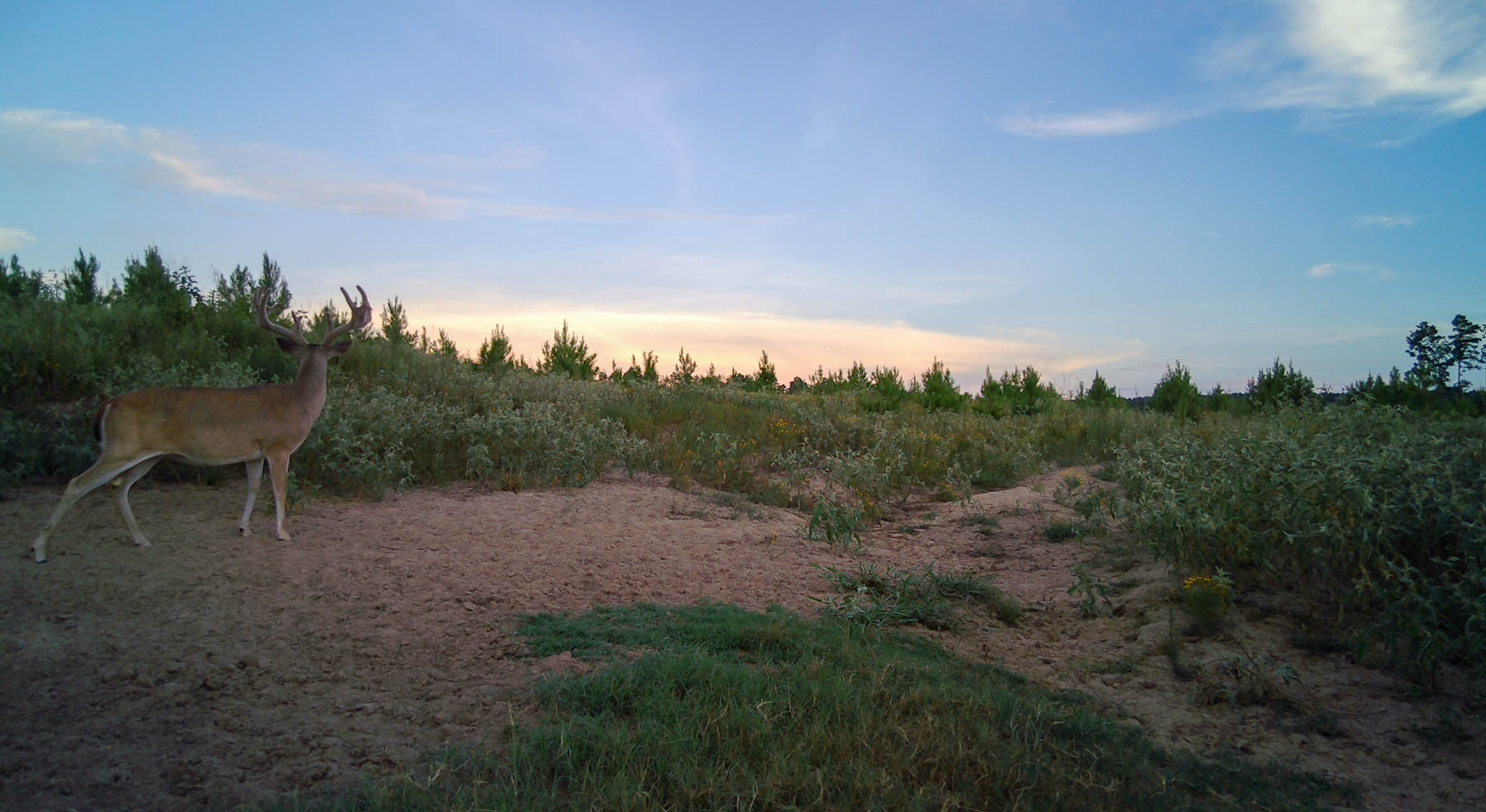 Bobcat Ridge Ranch property picture 76 of 99
