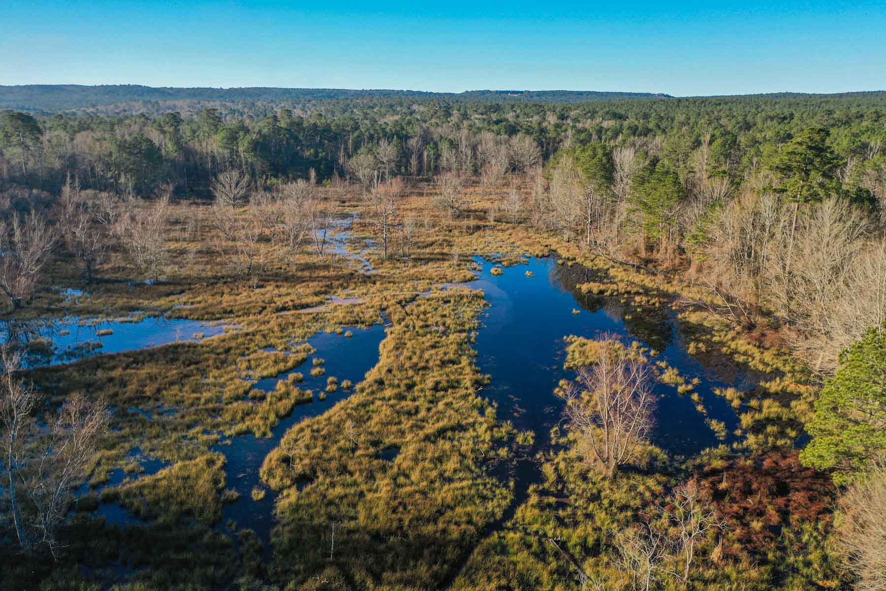 Bobcat Ridge Ranch property picture 13 of 99