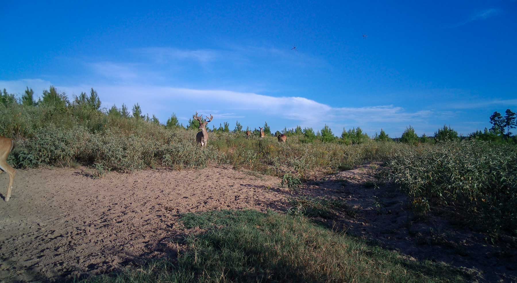 Bobcat Ridge Ranch property picture 74 of 99