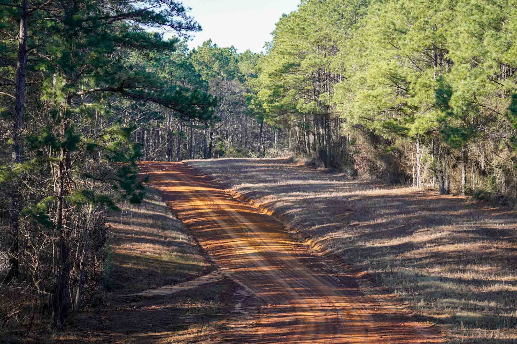 Bobcat Ridge Ranch property picture 7 of 99
