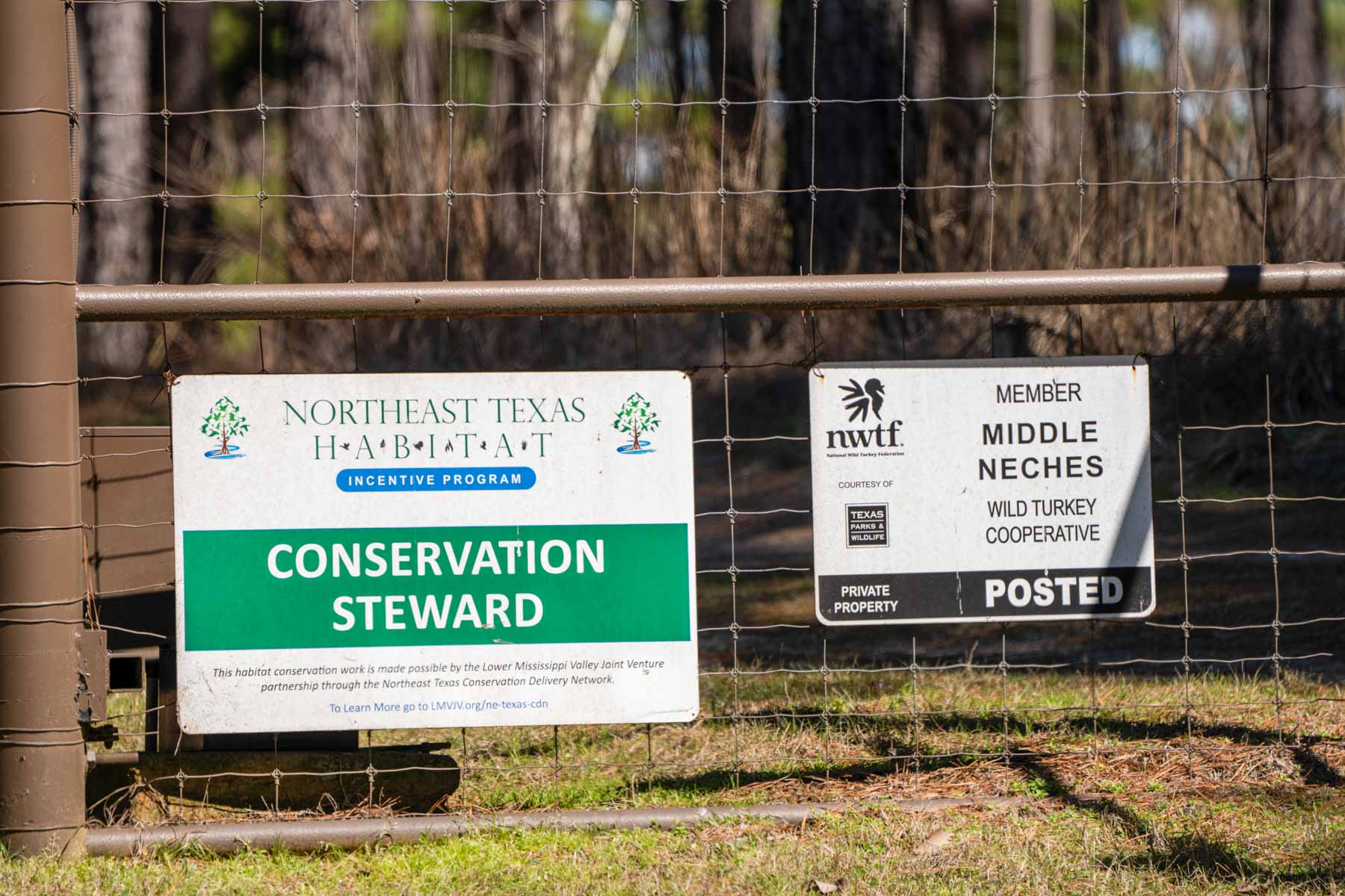 Bobcat Ridge Ranch property picture 49 of 99