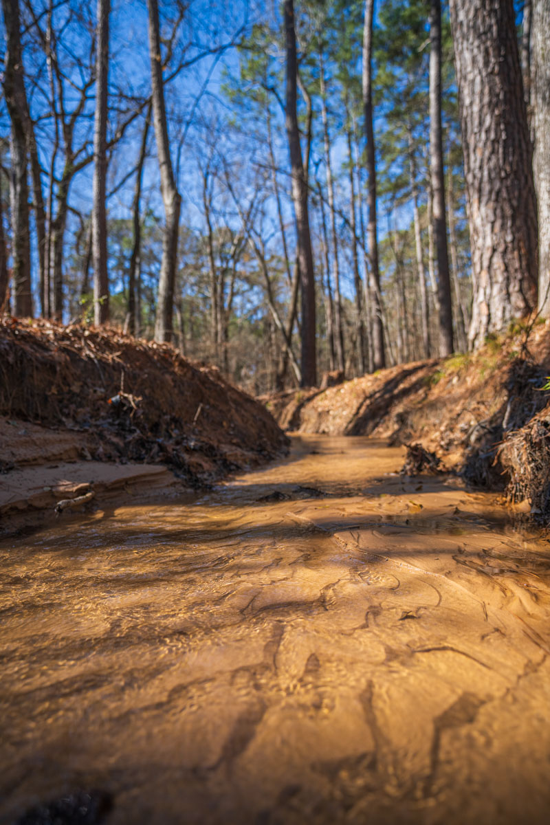 Bobcat Ridge Ranch property picture 29 of 99