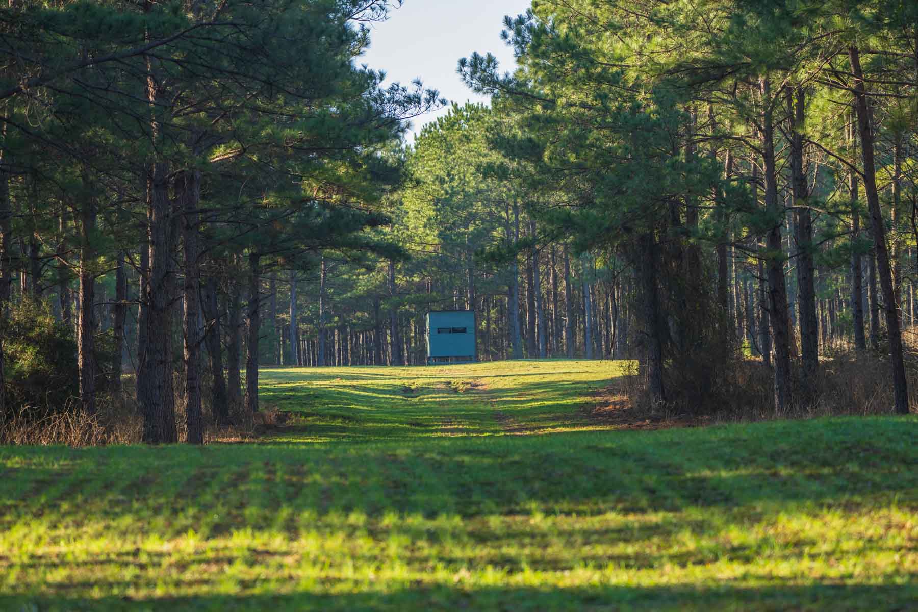 Bobcat Ridge Ranch property picture 3 of 99