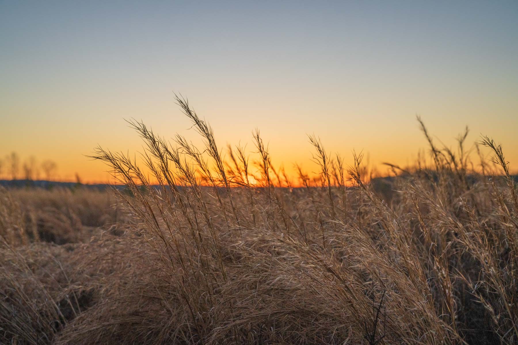 Bobcat Ridge Ranch property picture 15 of 99