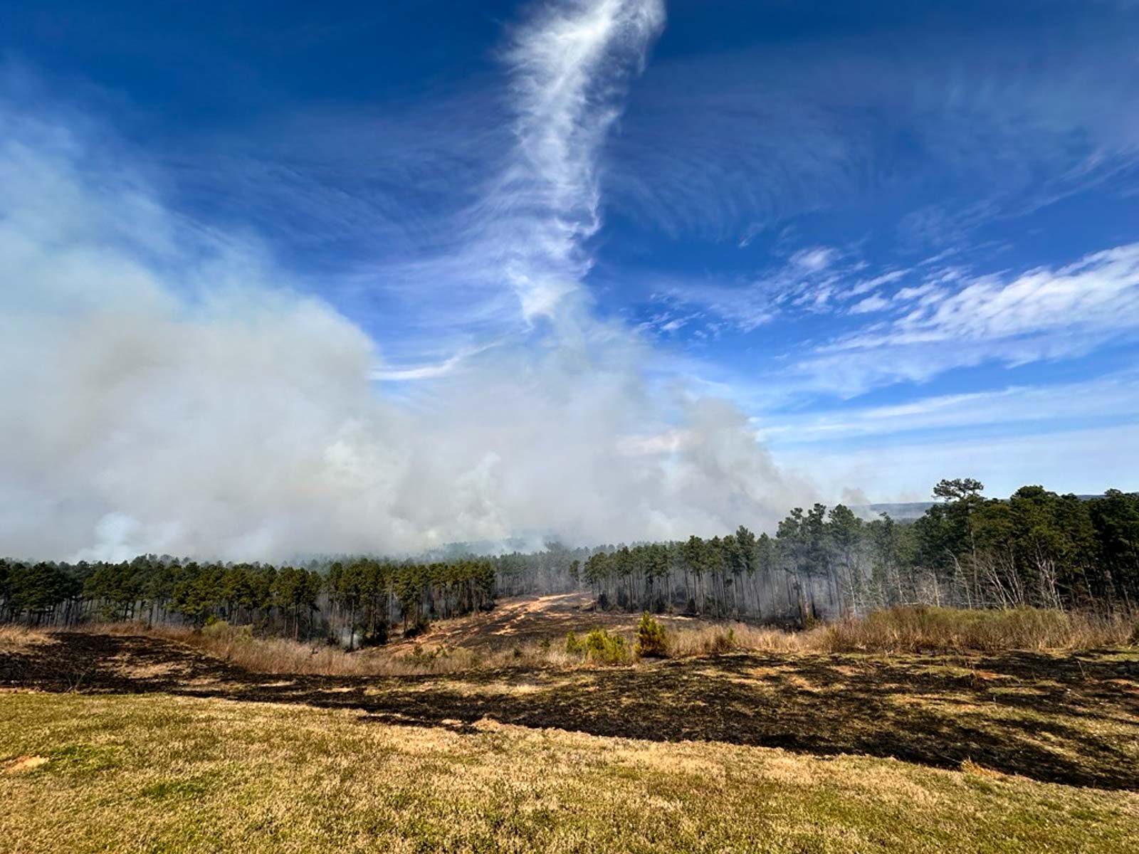 Bobcat Ridge Ranch property picture 54 of 99