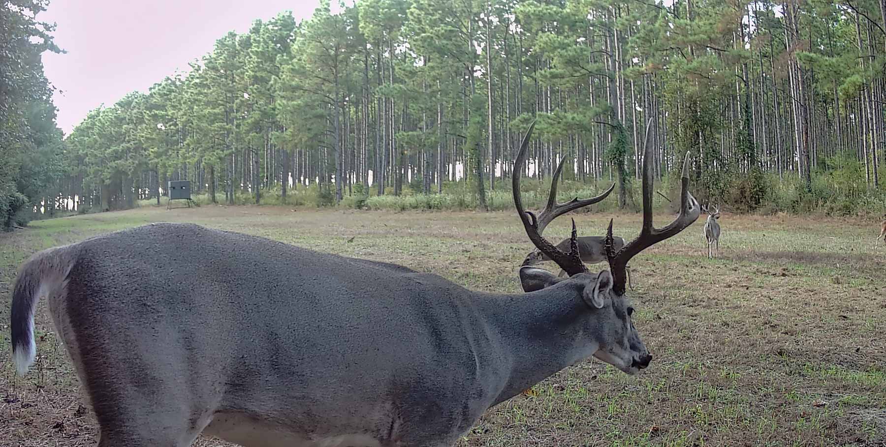 Bobcat Ridge Ranch property picture 95 of 99