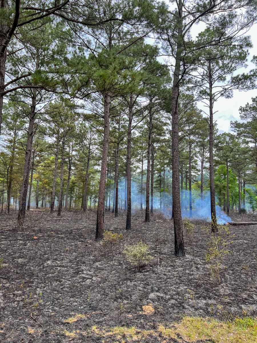 Bobcat Ridge Ranch property picture 56 of 99