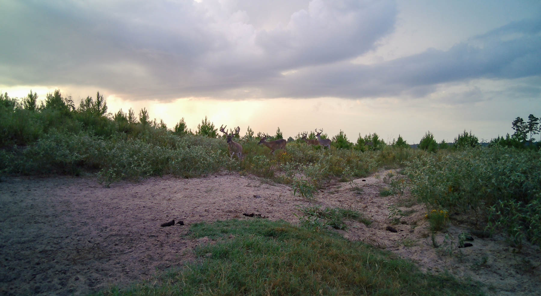 Bobcat Ridge Ranch property picture 79 of 99