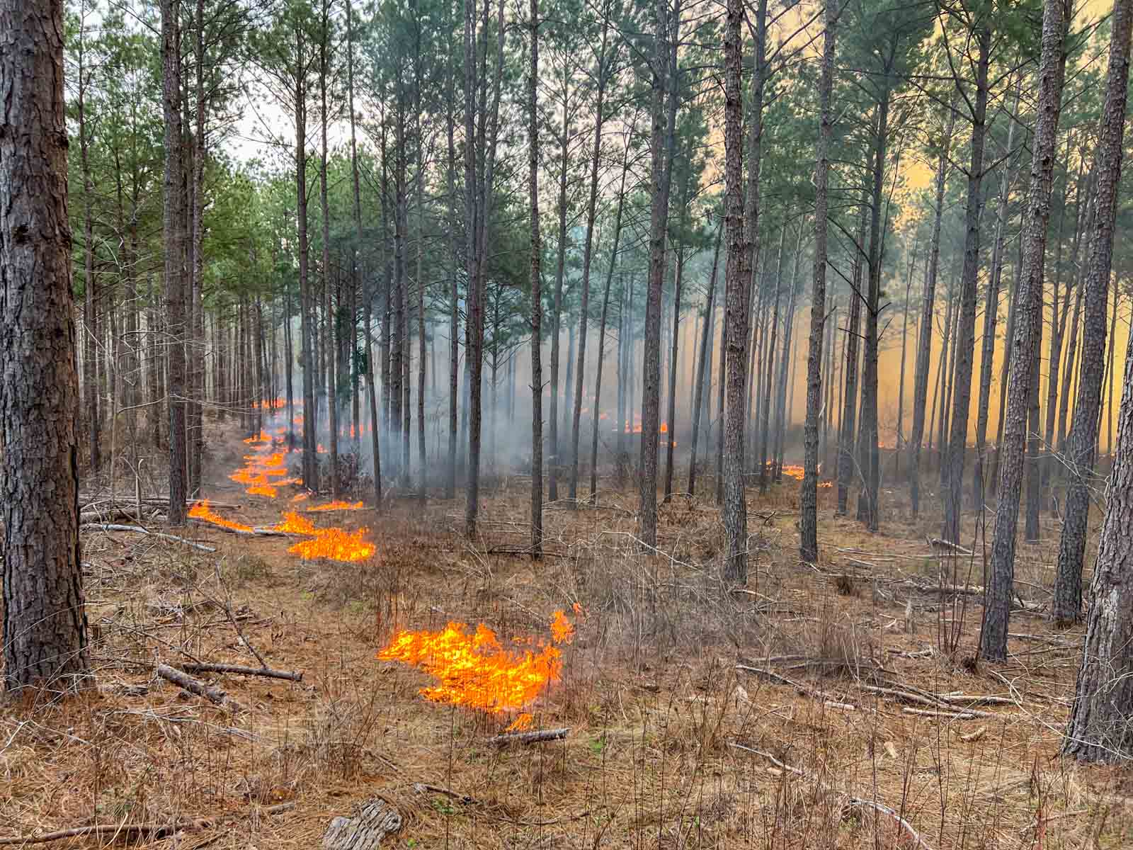Bobcat Ridge Ranch property picture 10 of 99
