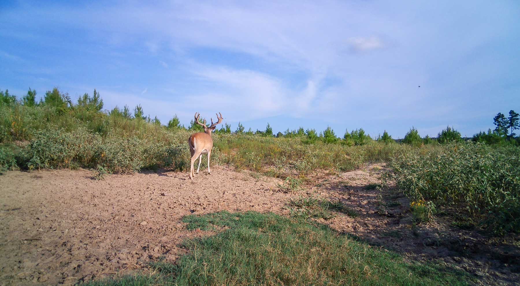 Bobcat Ridge Ranch property picture 73 of 99
