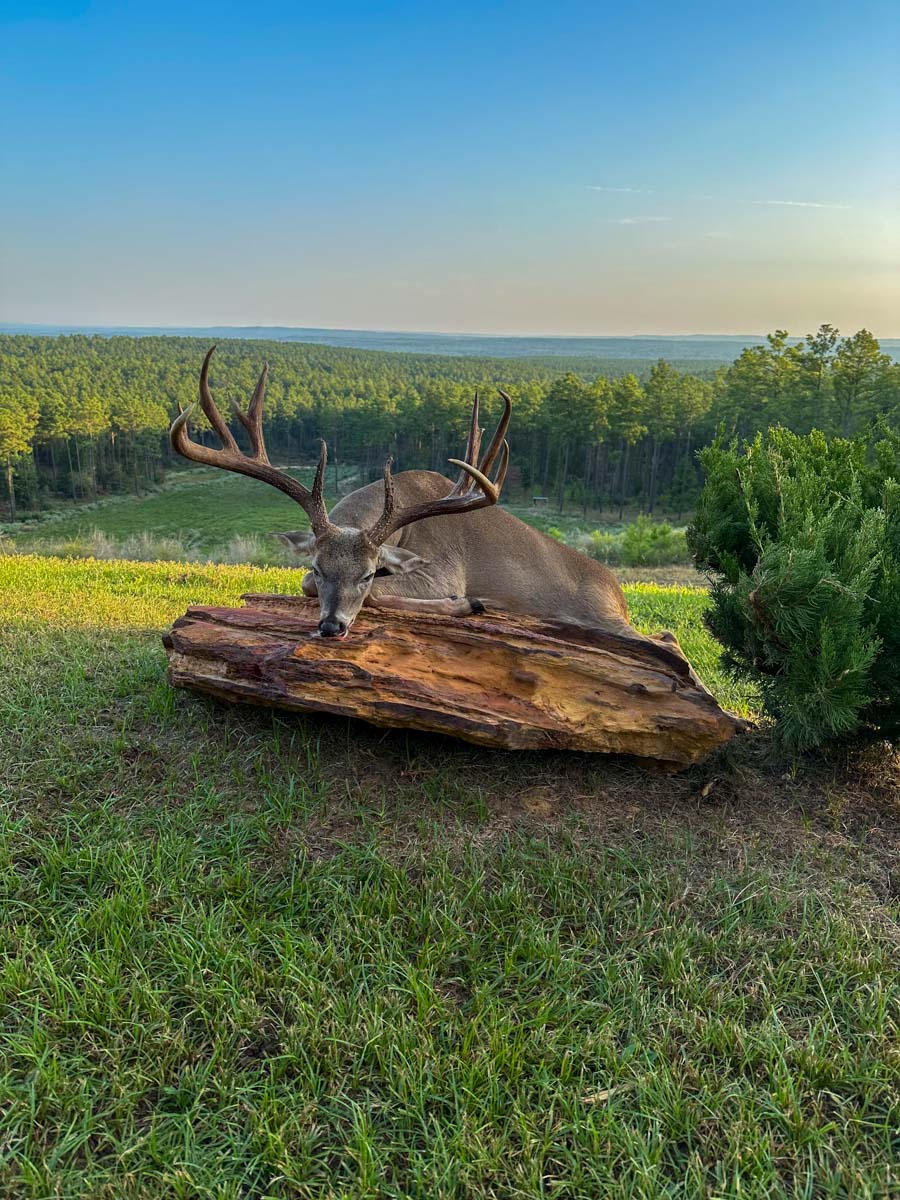 Bobcat Ridge Ranch property picture 11 of 99