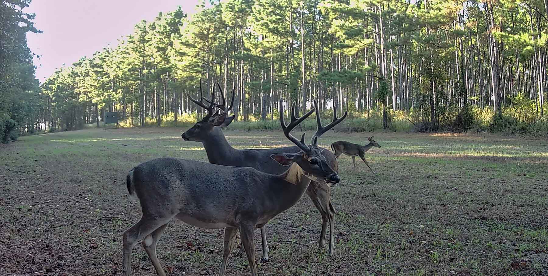 Bobcat Ridge Ranch property picture 98 of 99