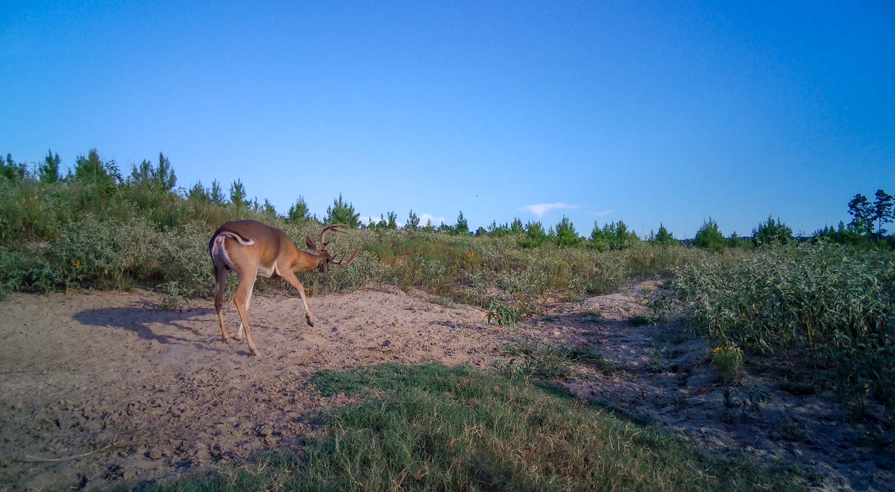 Bobcat Ridge Ranch property picture 77 of 99