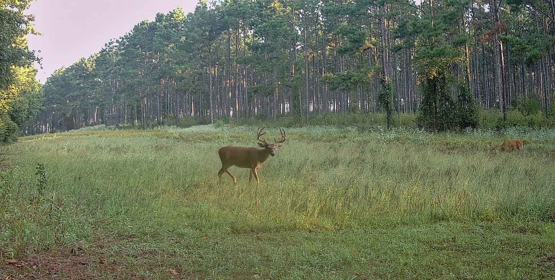 Bobcat Ridge Ranch property picture 67 of 99