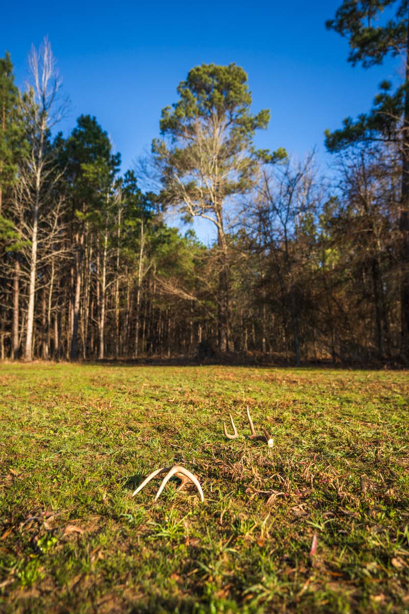 Bobcat Ridge Ranch property picture 27 of 99