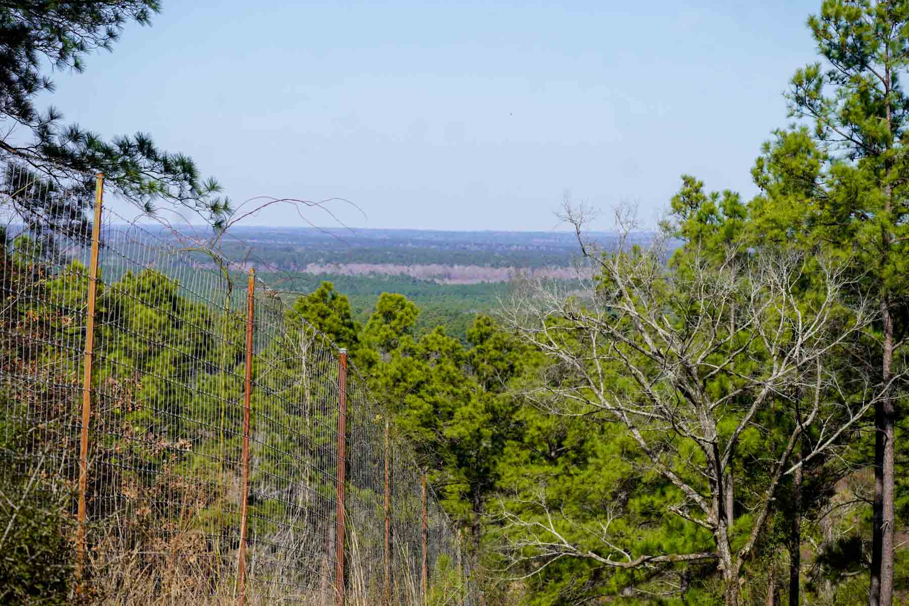 Bobcat Ridge Ranch property picture 12 of 99