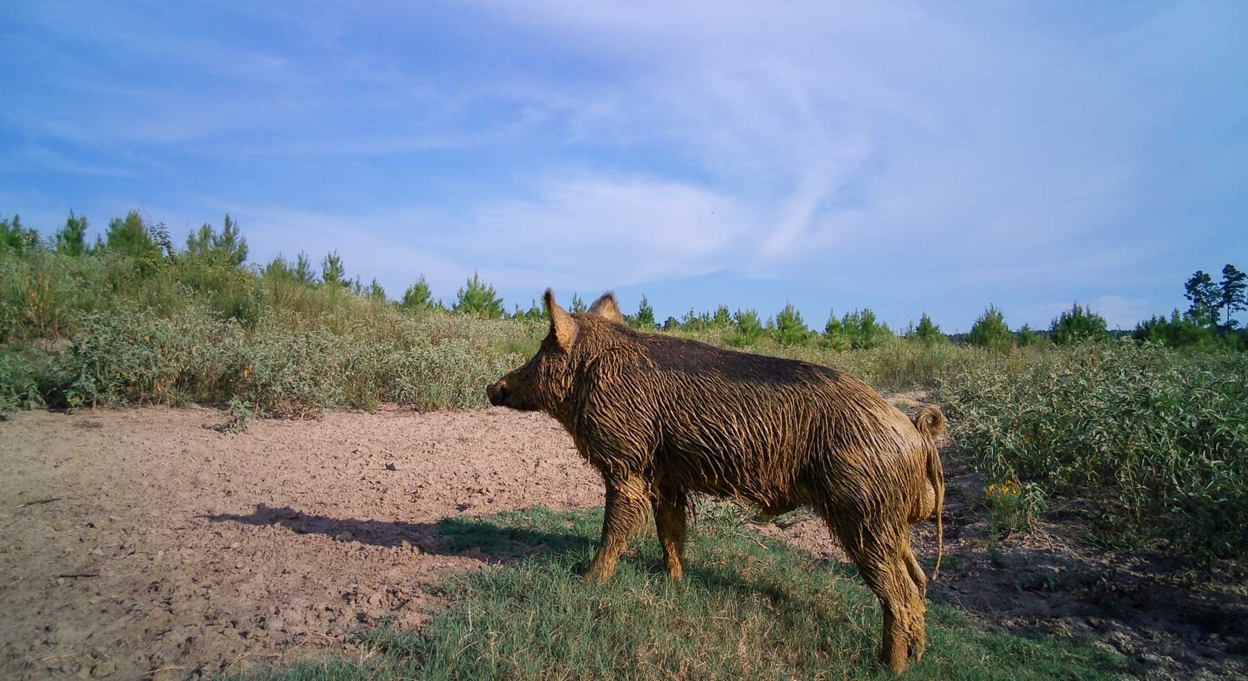 Bobcat Ridge Ranch property picture 71 of 99