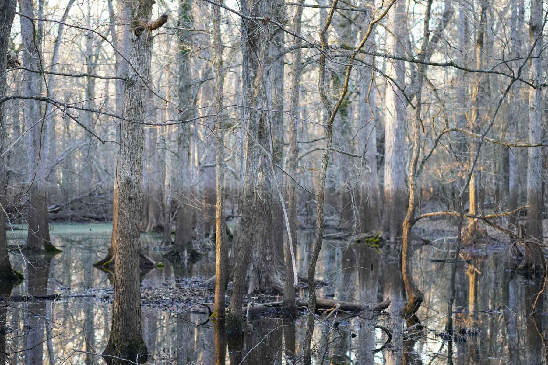 Bobcat Ridge Ranch property picture 53 of 99