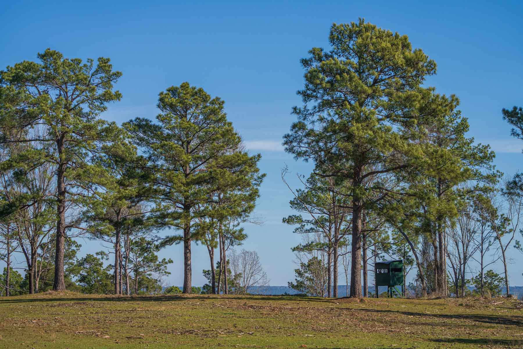 Bobcat Ridge Ranch property picture 30 of 99
