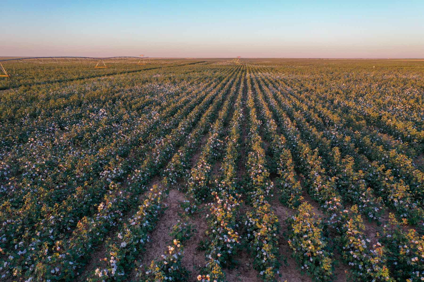 Warren Farms property picture 53 of 83