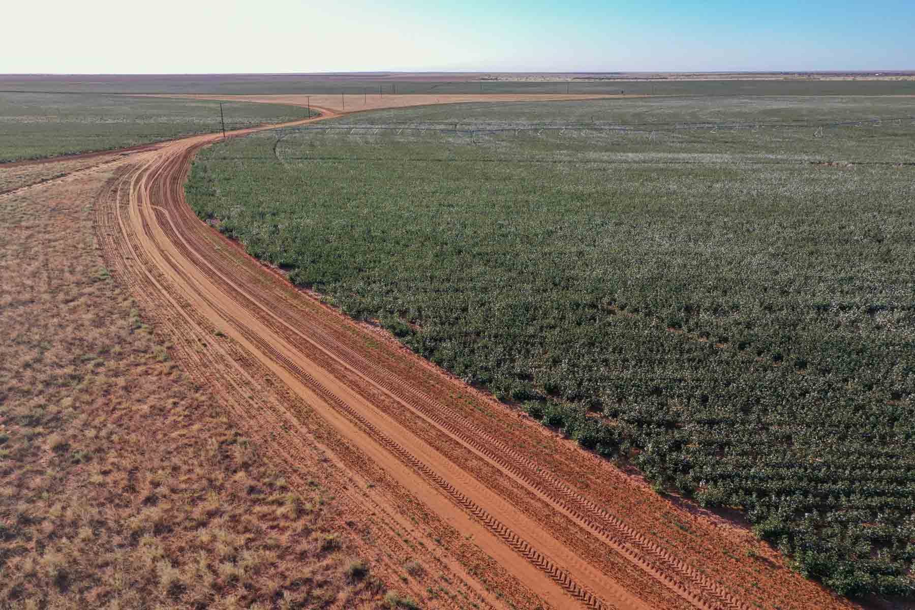 Warren Farms property picture 19 of 83