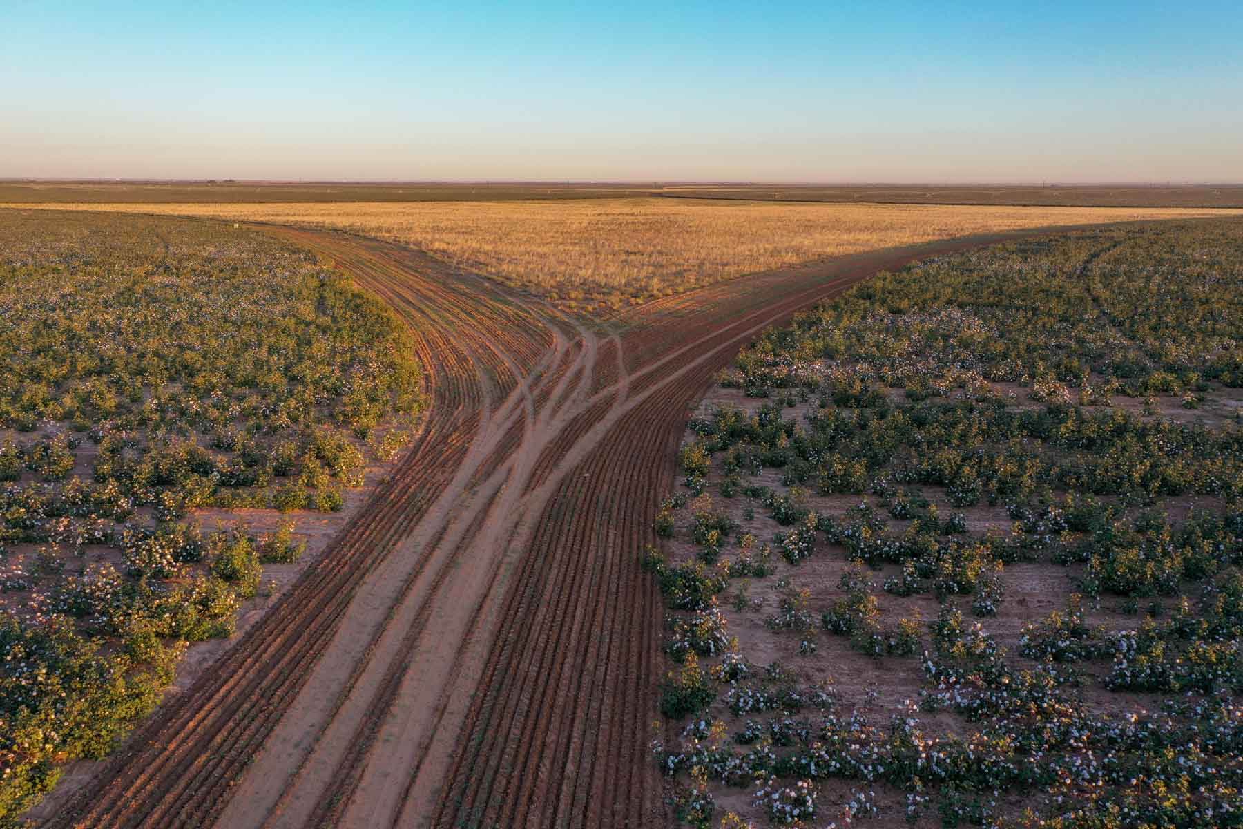 Warren Farms property picture 56 of 83