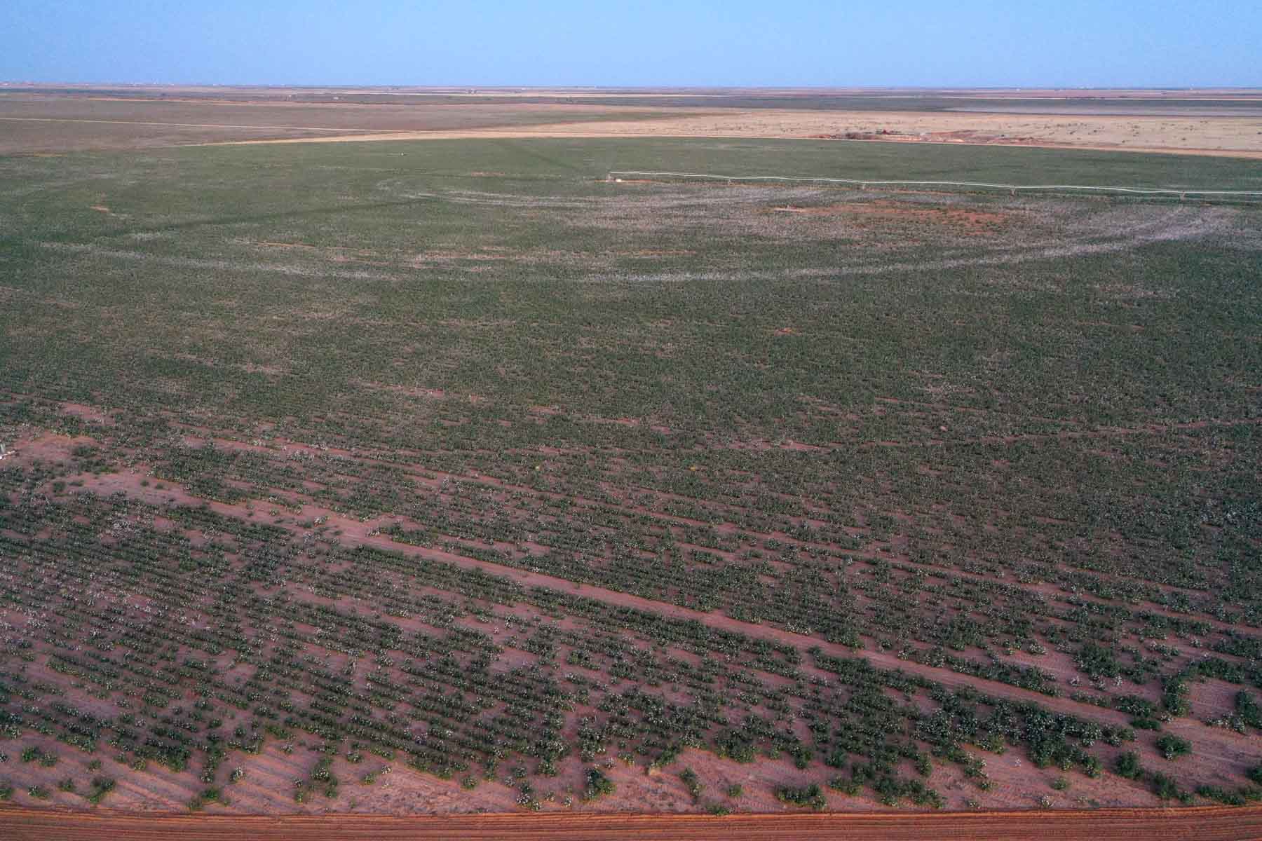 Warren Farms property picture 46 of 83