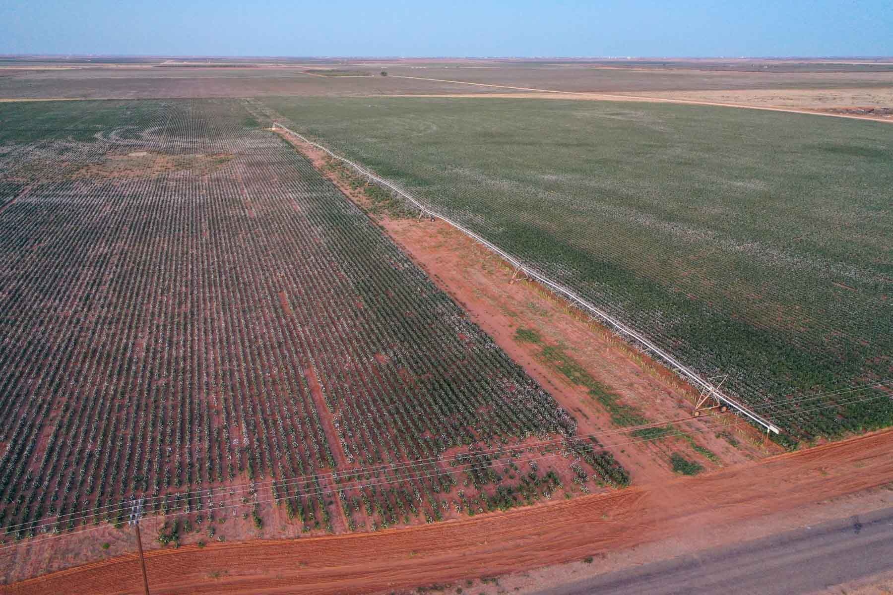 Warren Farms property picture 40 of 83