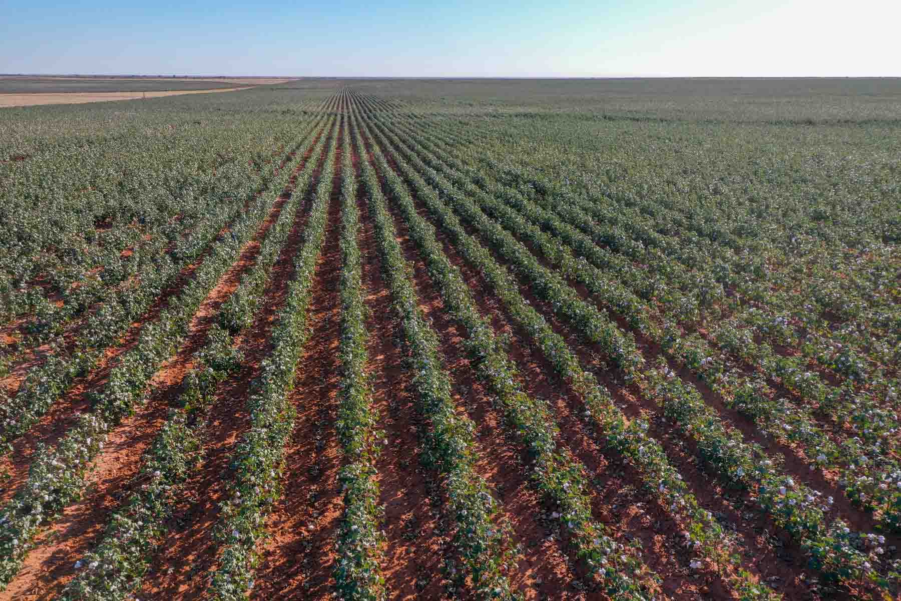 Warren Farms property picture 17 of 83