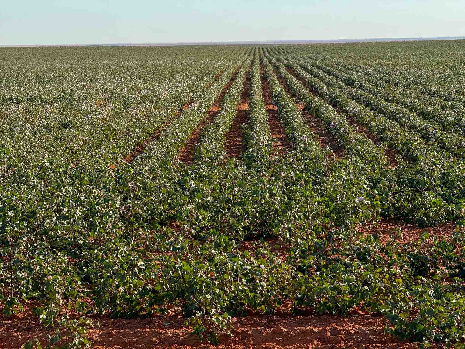 Warren Farms property picture 38 of 83