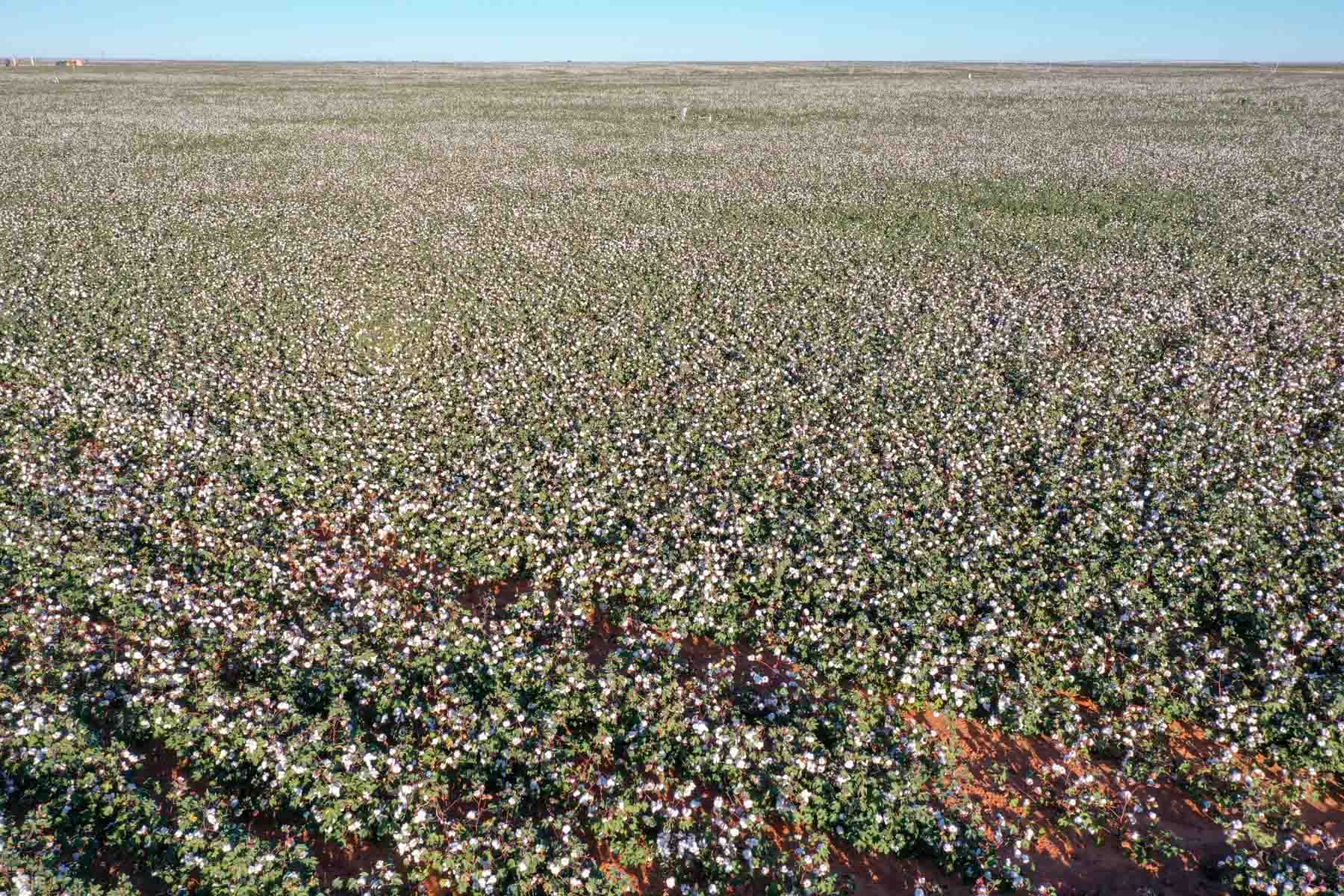 Warren Farms property picture 15 of 83