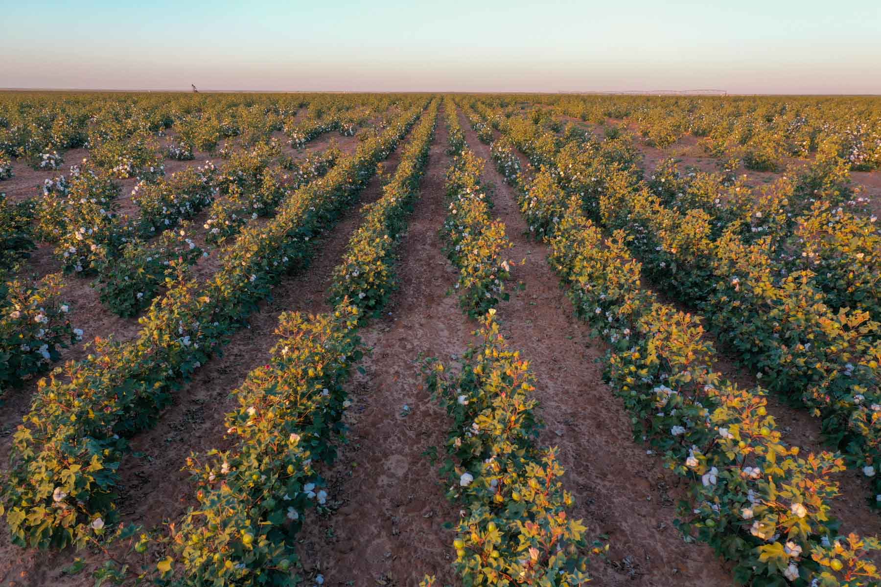 Warren Farms property picture 44 of 83