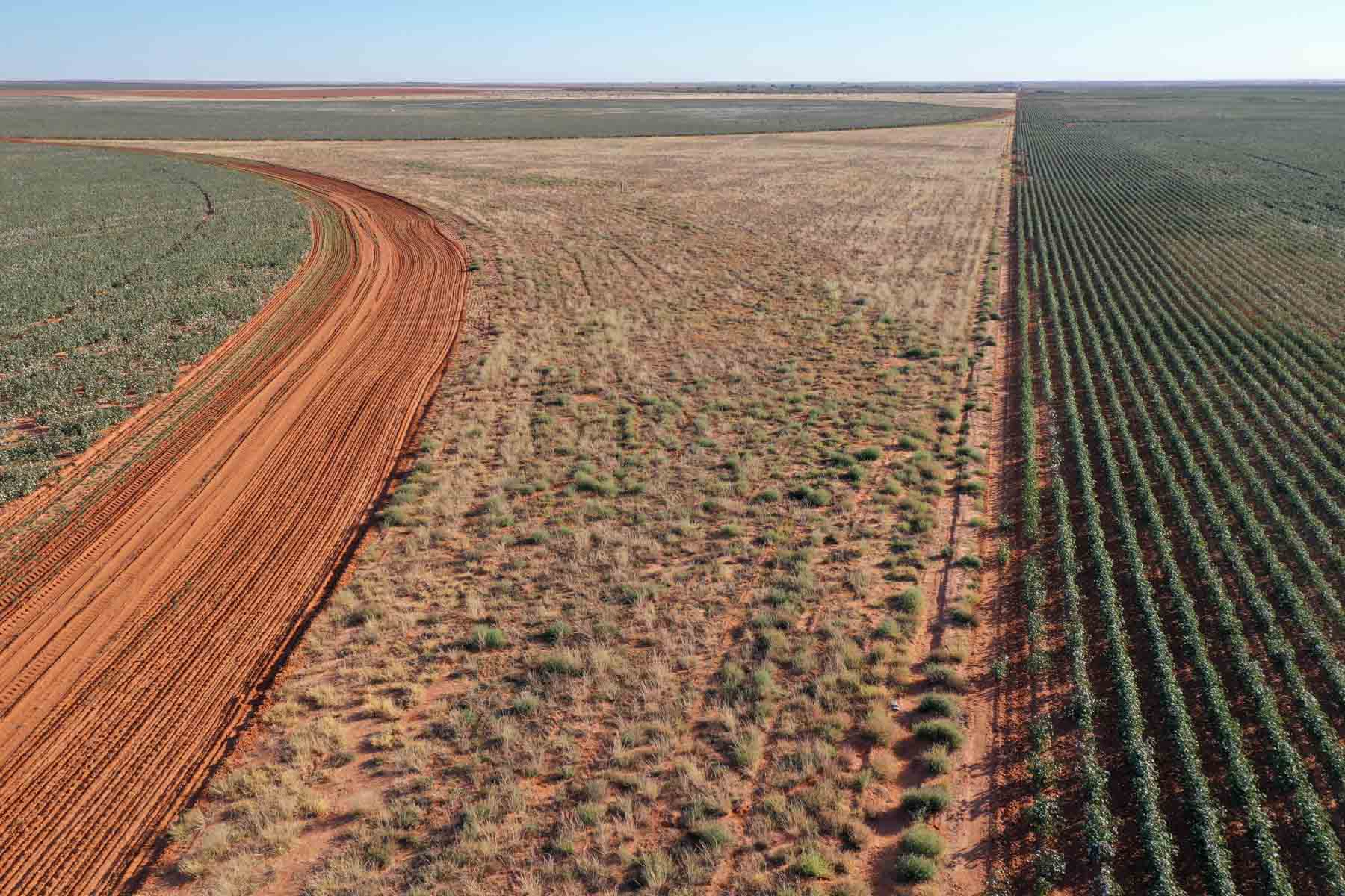 Warren Farms property picture 28 of 83