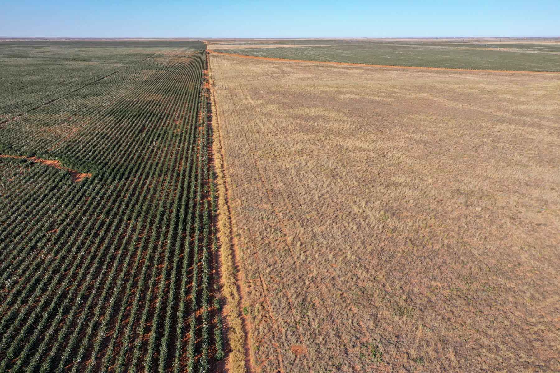 Warren Farms property picture 29 of 83