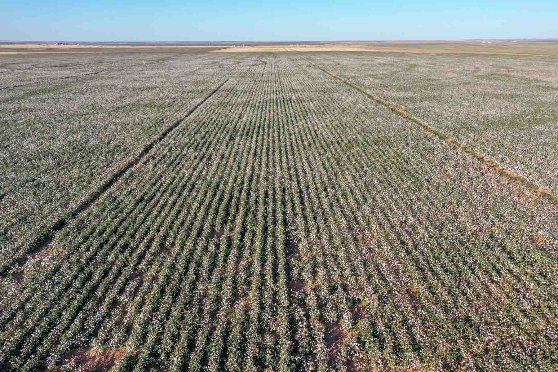 Warren Farms property picture 3 of 83