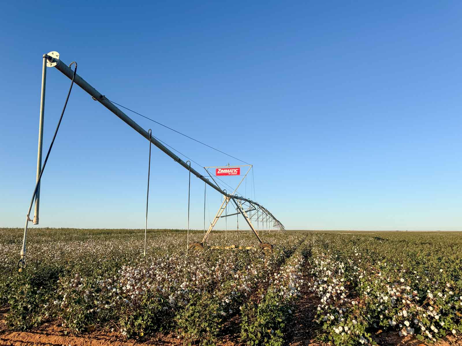 Warren Farms property picture 76 of 83