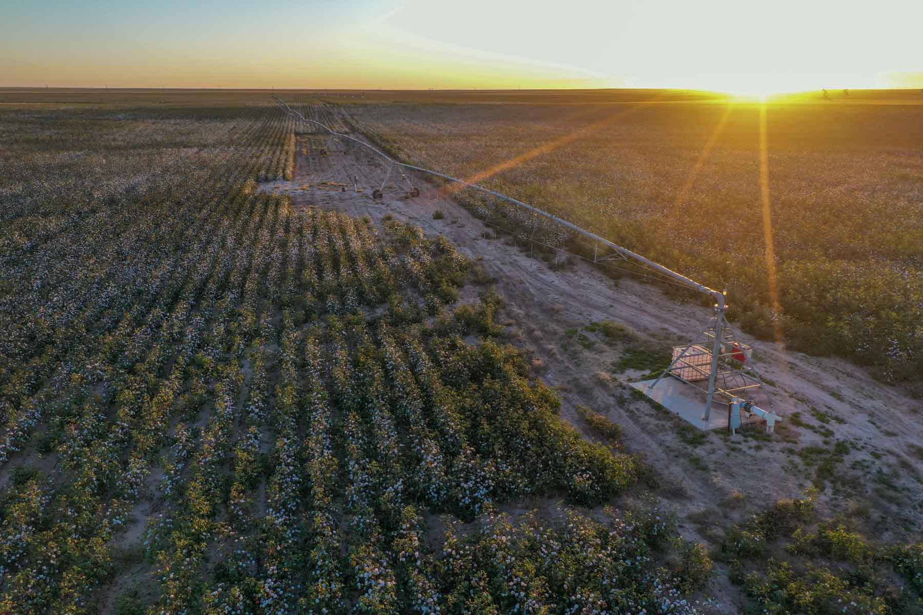 Warren Farms property picture 60 of 83