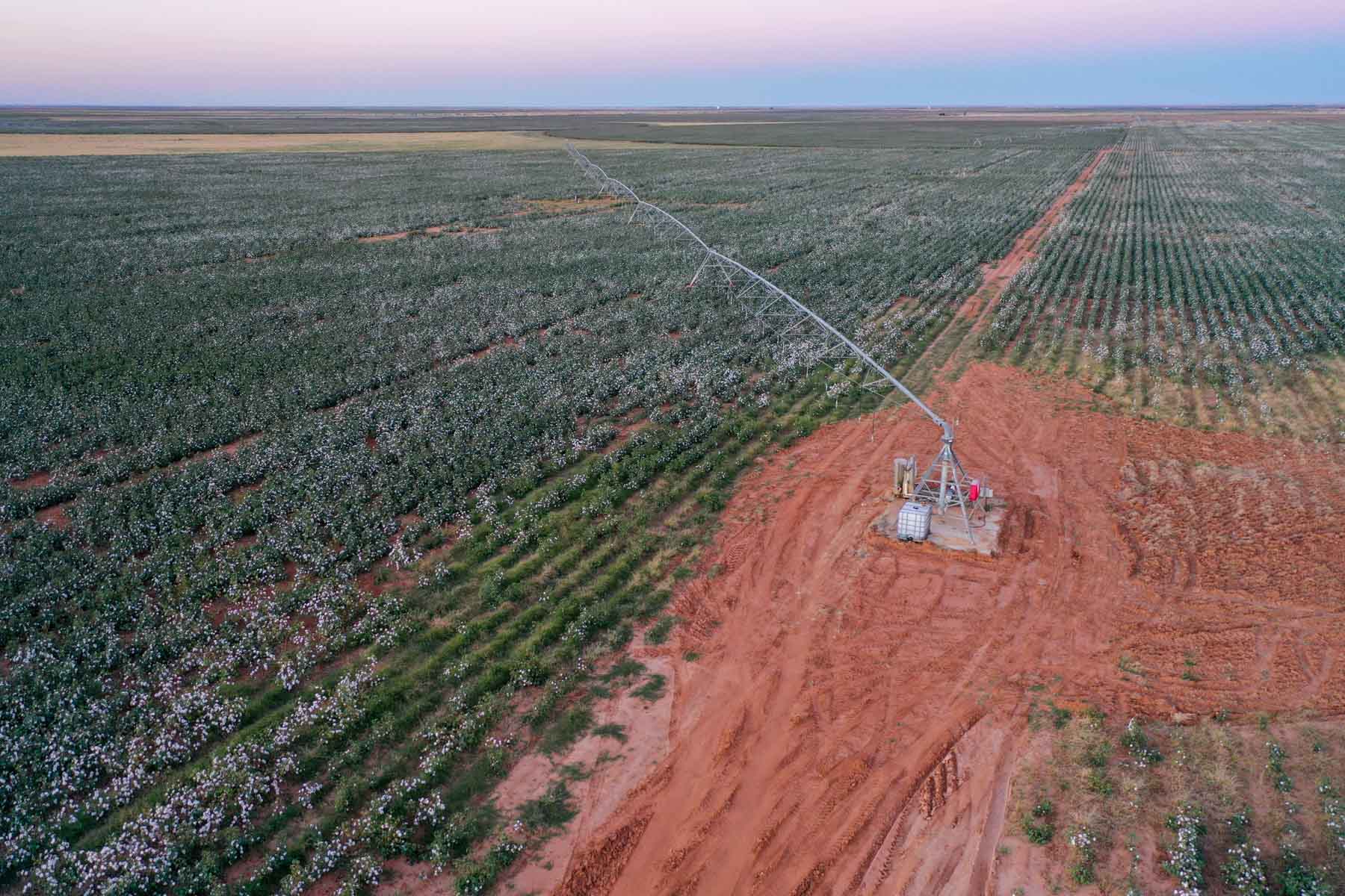 Warren Farms property picture 50 of 83