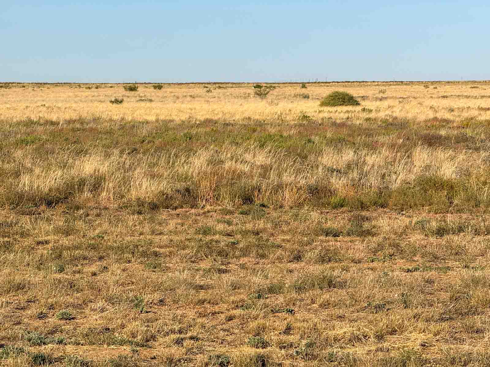 Warren Farms property picture 79 of 83