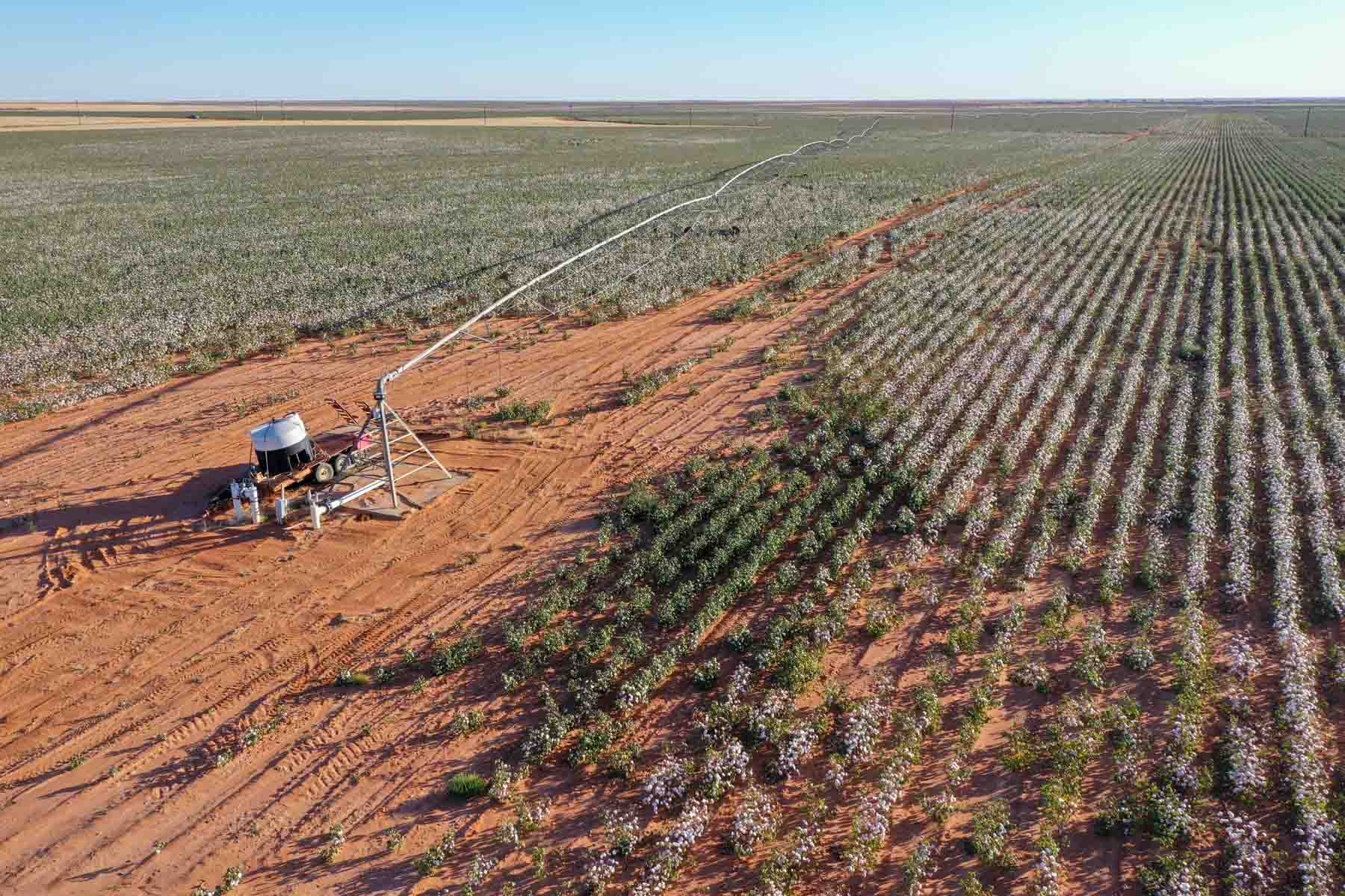 Warren Farms property picture 20 of 83