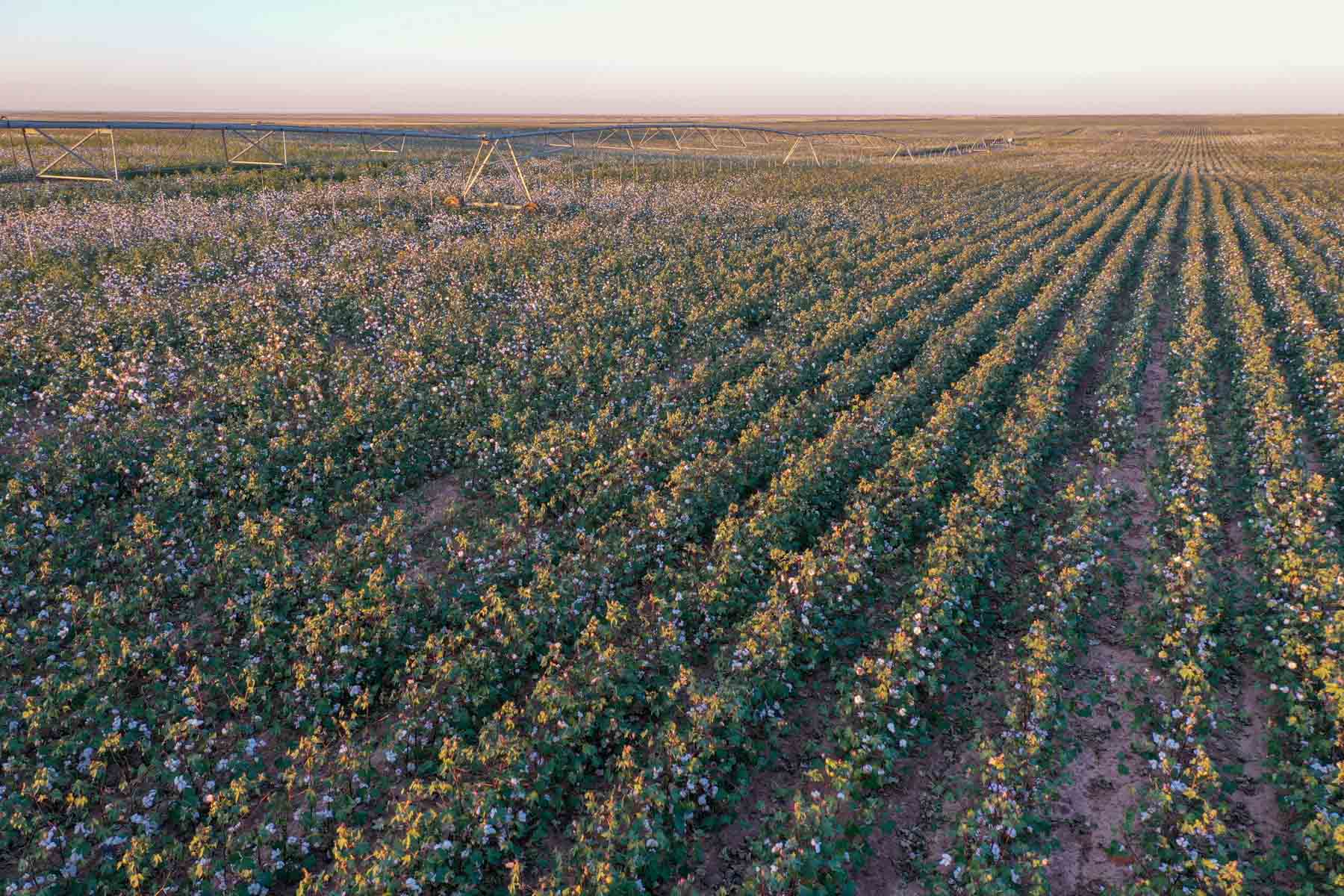 Warren Farms property picture 71 of 83