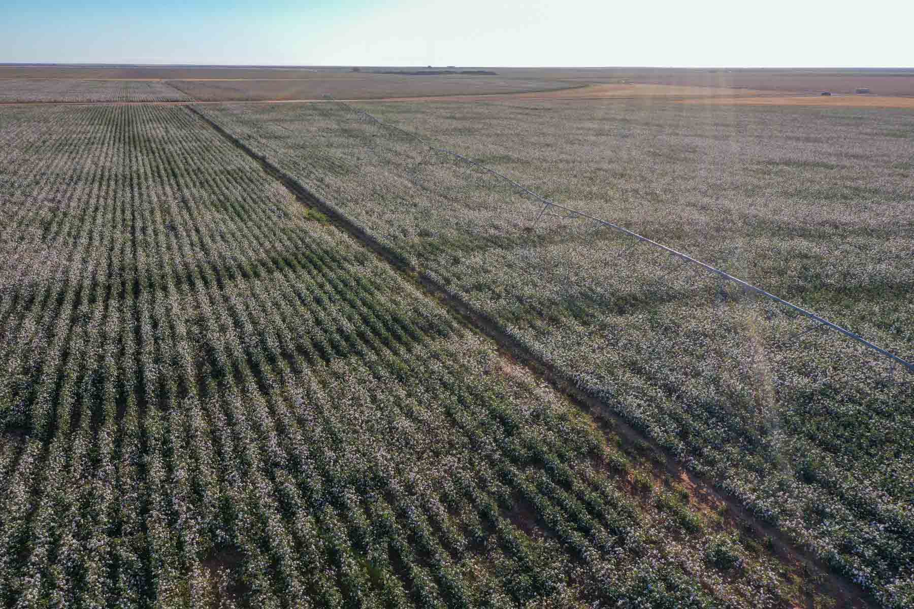 Warren Farms property picture 4 of 83