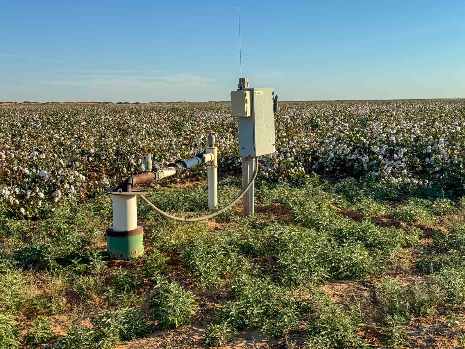 Warren Farms property picture 9 of 83