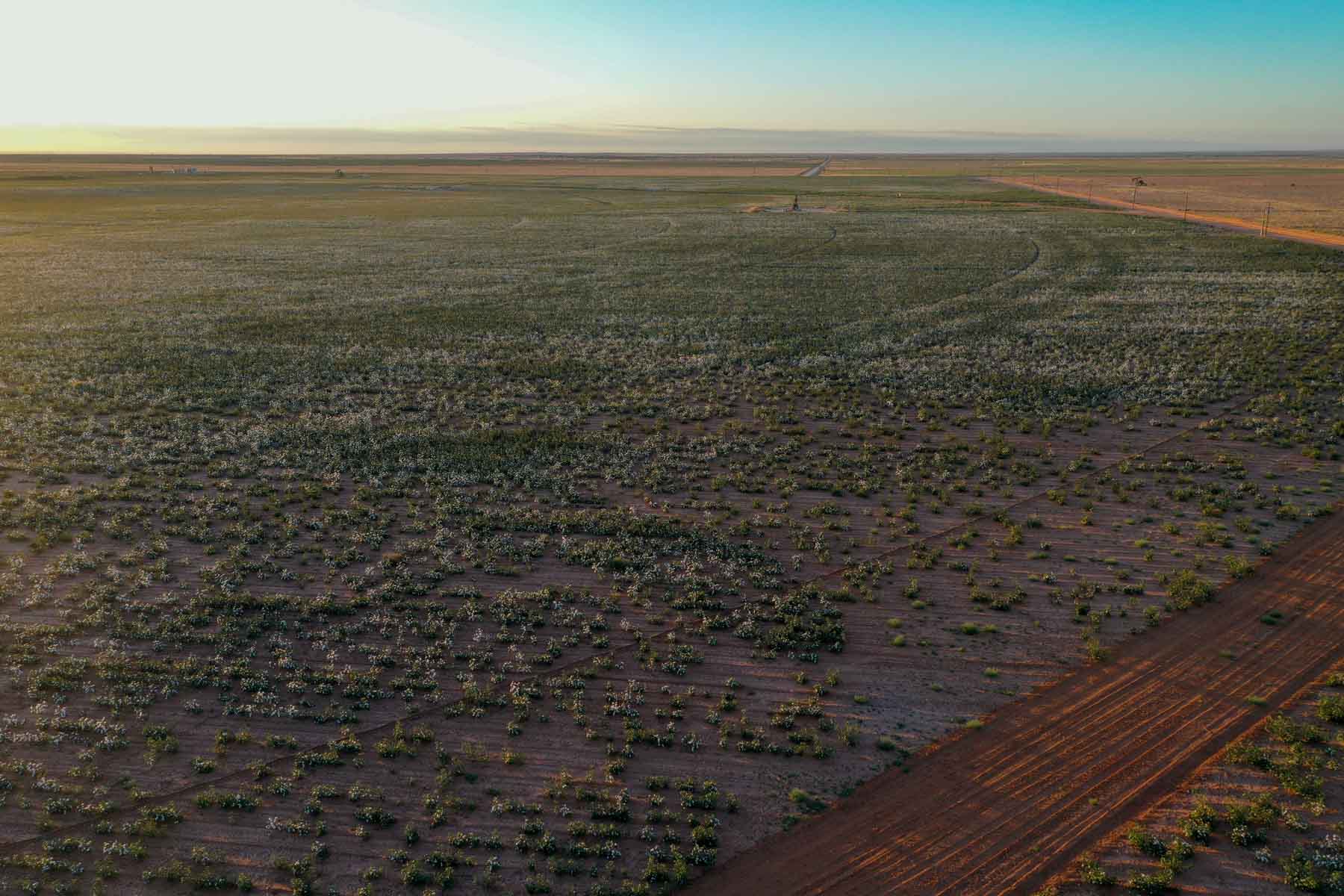 Warren Farms property picture 74 of 83