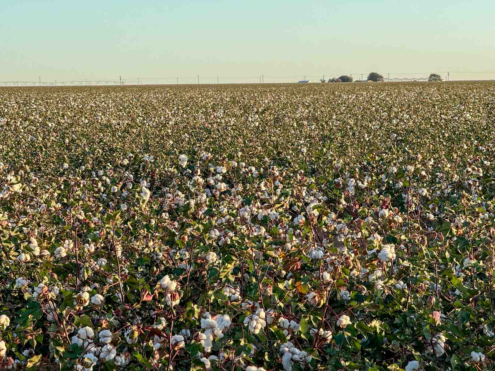 Warren Farms property picture 78 of 83