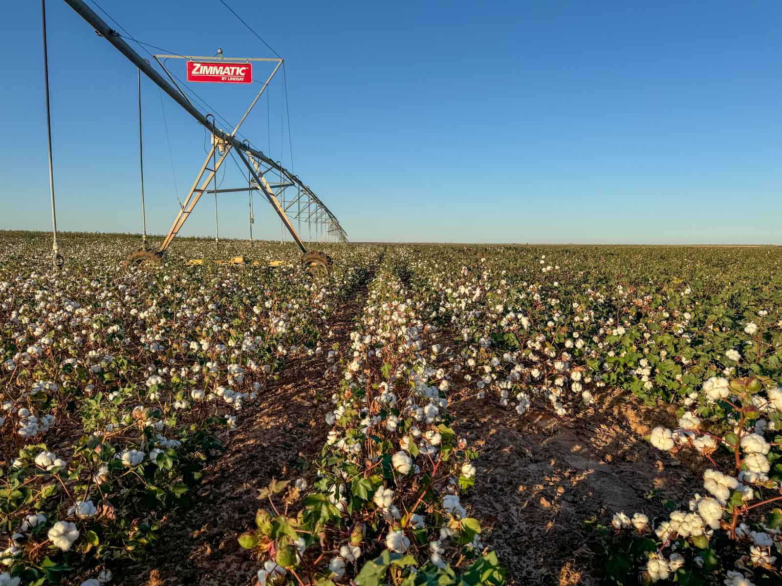 Warren Farms property picture 67 of 83